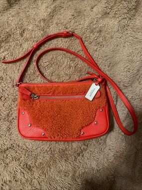 Coach Small Ryder Pochette in Shearling & Pebbled Leather
Crossbody Bag EUC